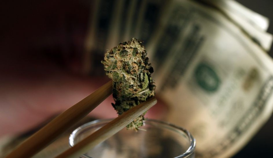 cannabis stock investing