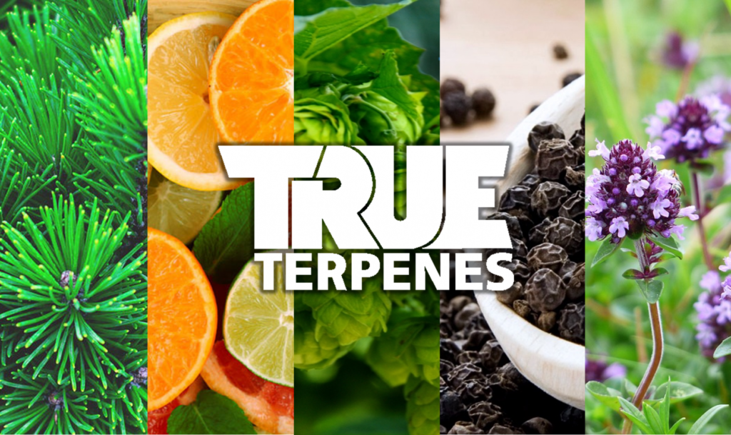 cannabis terpenes