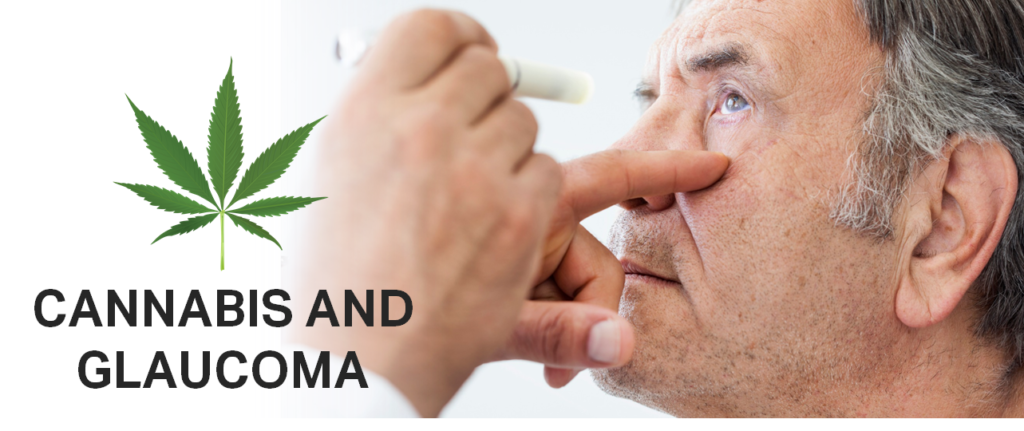 cannabis and glaucoma