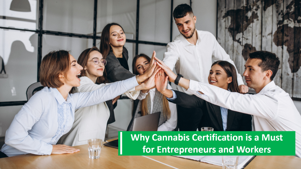 Why Cannabis Certification is a Must for Entrepreneurs and Workers