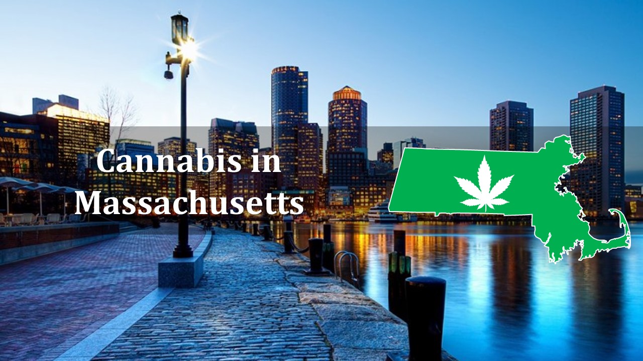 How to become a medical marijuana grower in massachusetts