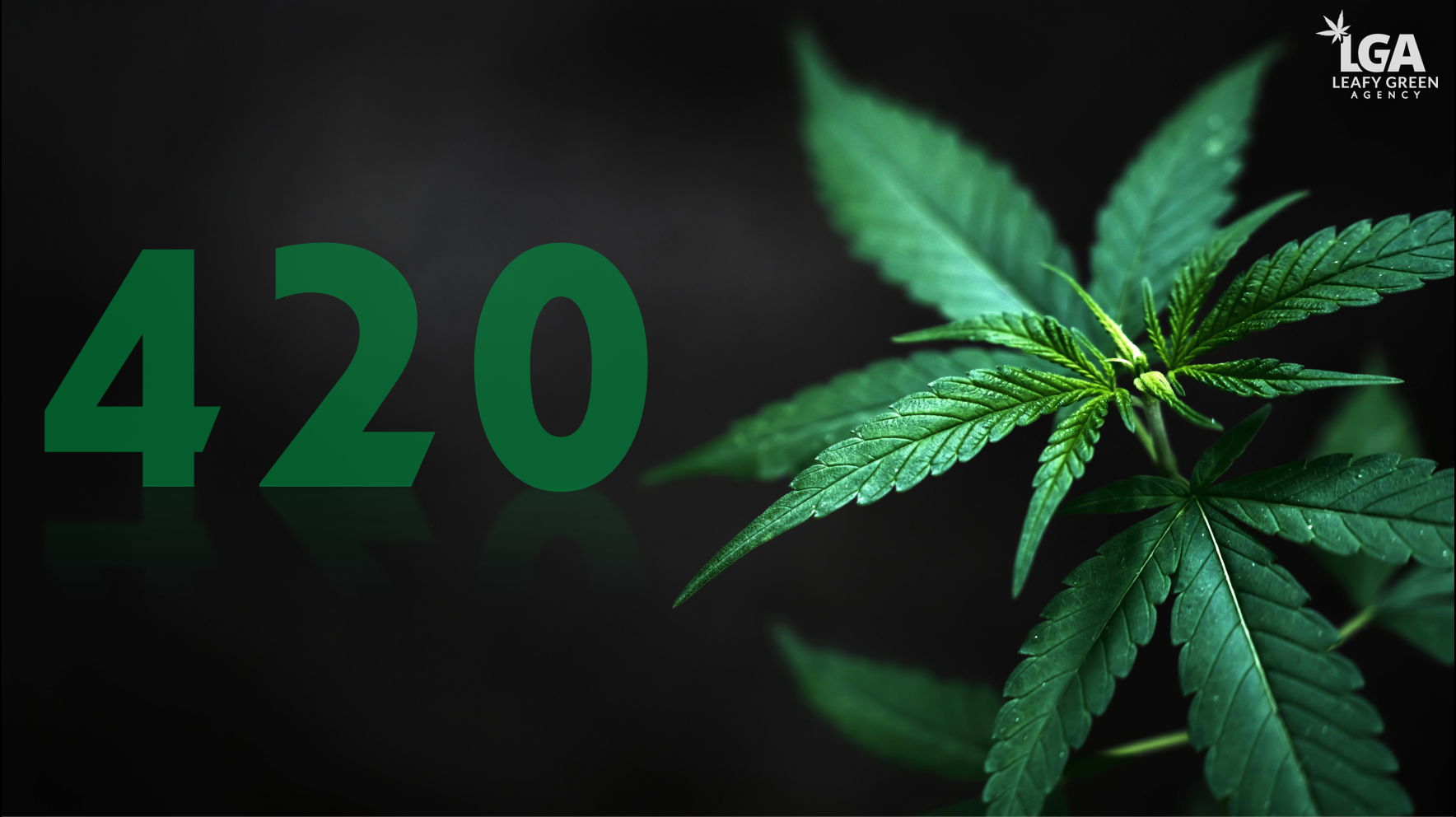 Meaning 420 420 Definition